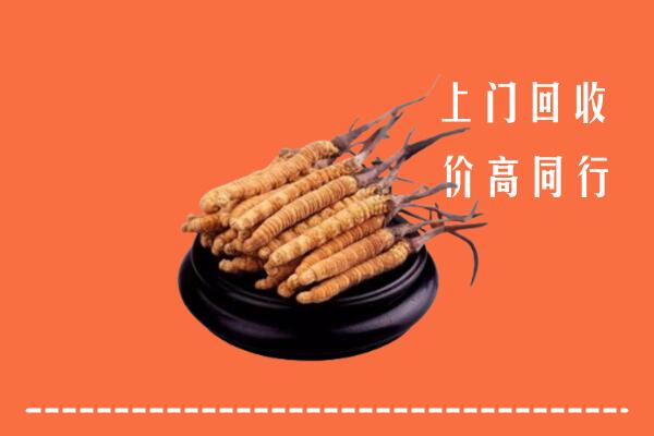高价求购：淄博临淄回收散虫草