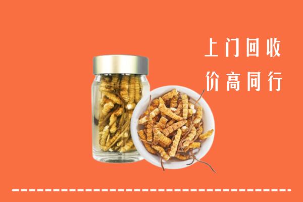 淄博临淄回收冬虫夏草