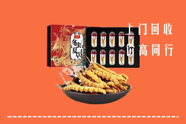 淄博临淄回收虫草